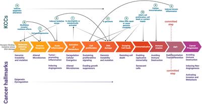 Key characteristics of carcinogens meet hallmarks for prevention-cutting the Gordian knot